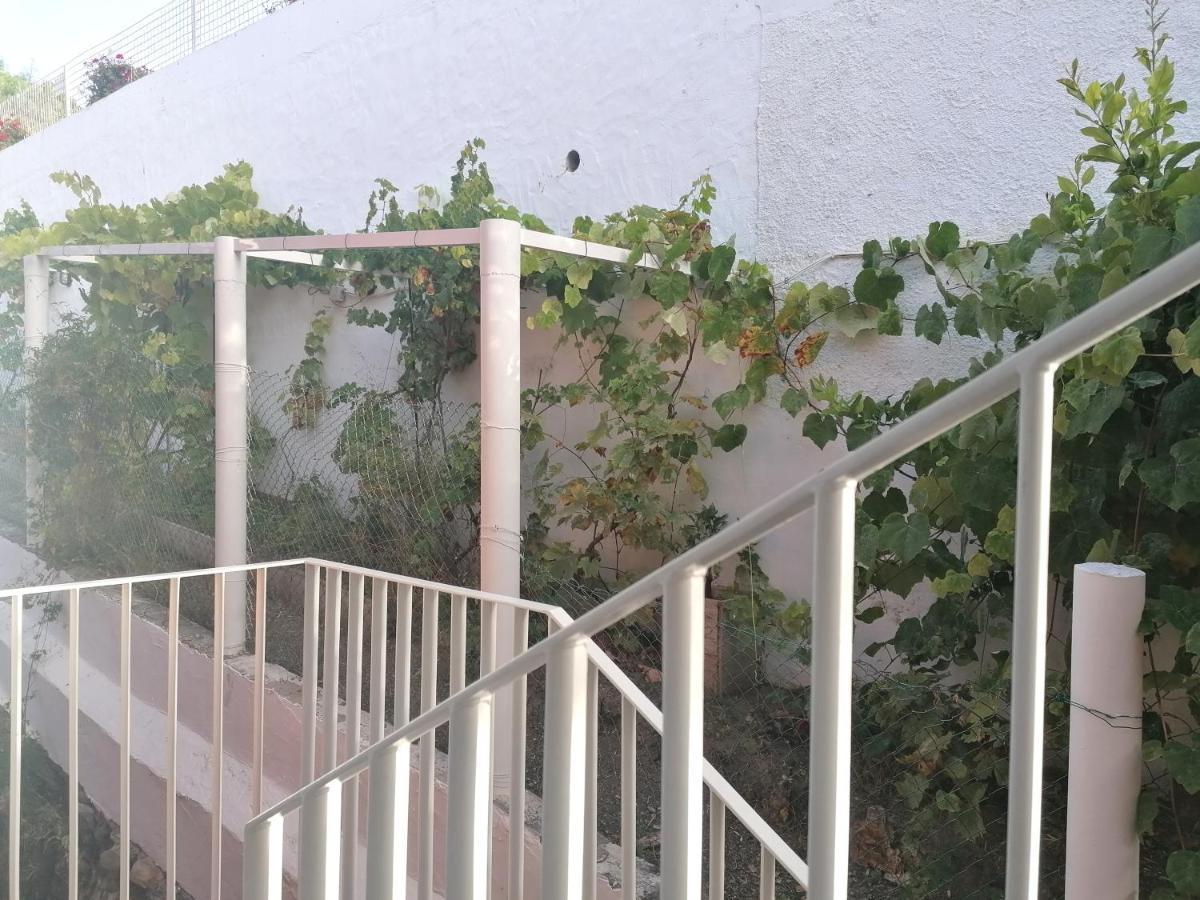 Santa Brígida Apartamento Lemmon Tree מראה חיצוני תמונה