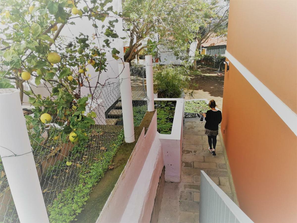 Santa Brígida Apartamento Lemmon Tree מראה חיצוני תמונה