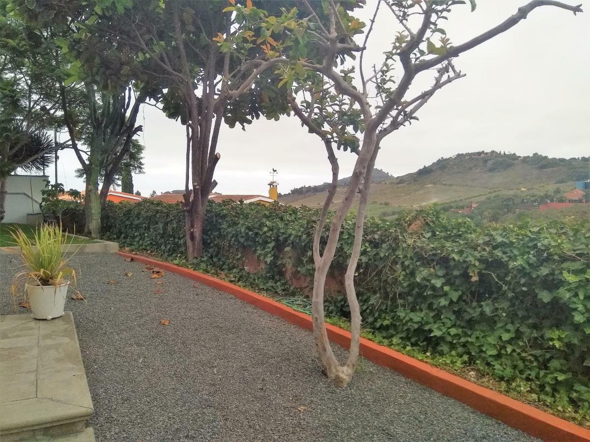 Santa Brígida Apartamento Lemmon Tree מראה חיצוני תמונה